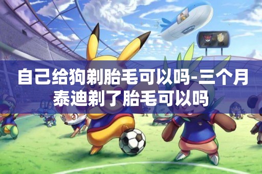 自己給狗剃胎毛可以嗎-三個月泰迪剃了胎毛可以嗎