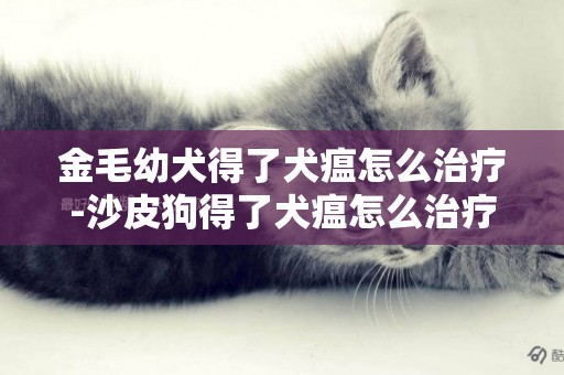金毛幼犬得了犬瘟怎么治療-沙皮狗得了犬瘟怎么治療