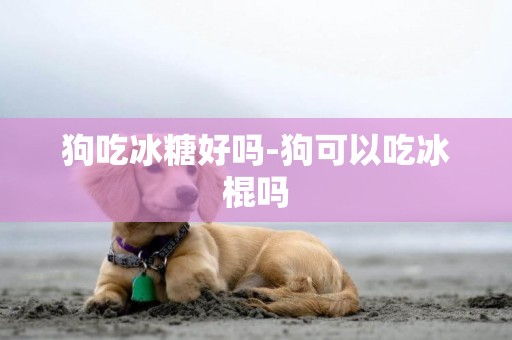 狗吃冰糖好嗎-狗可以吃冰棍嗎