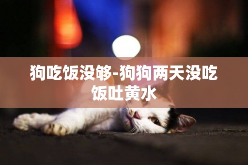 狗吃飯沒夠-狗狗兩天沒吃飯吐黃水