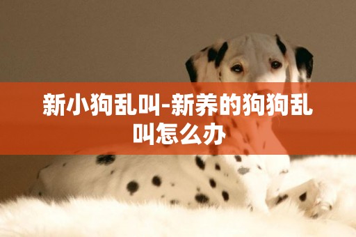 新小狗亂叫-新養的狗狗亂叫怎么辦
