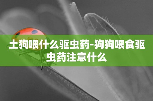 土狗喂什么驅蟲藥-狗狗喂食驅蟲藥注意什么
