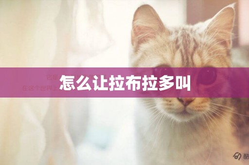 怎么讓拉布拉多叫