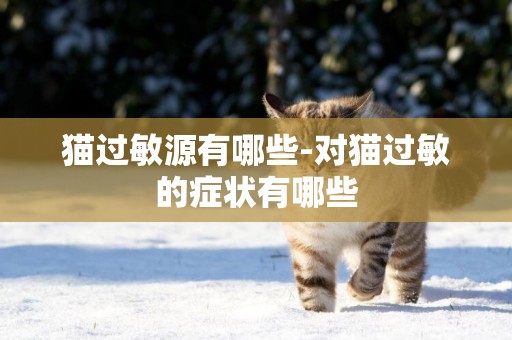 貓過敏源有哪些-對貓過敏的癥狀有哪些