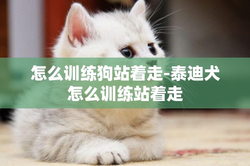 怎么訓練狗站著走-泰迪犬怎么訓練站著走