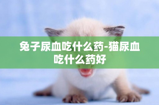 兔子尿血吃什么藥-貓尿血吃什么藥好