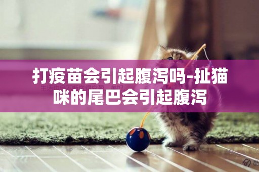 打疫苗會引起腹瀉嗎-扯貓咪的尾巴會引起腹瀉