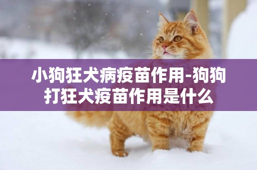 小狗狂犬病疫苗作用-狗狗打狂犬疫苗作用是什么