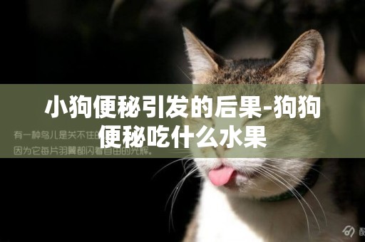 小狗便秘引發的后果-狗狗便秘吃什么水果