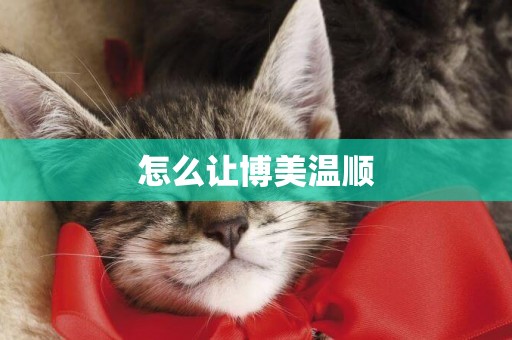 怎么讓博美溫順
