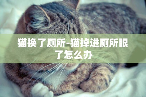 貓換了廁所-貓掉進廁所眼了怎么辦