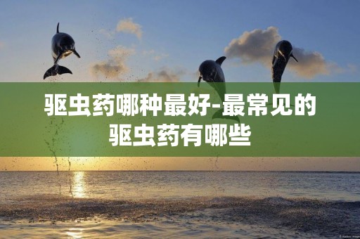 驅蟲藥哪種最好-最常見的驅蟲藥有哪些