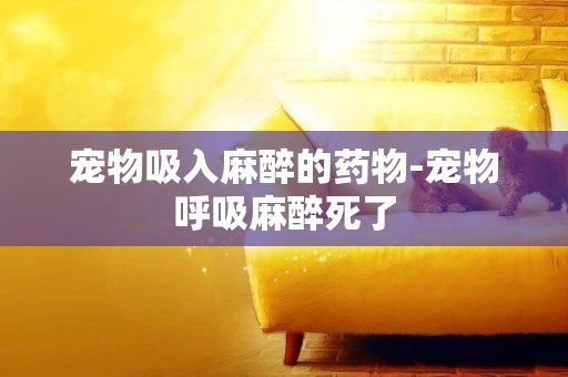寵物吸入麻醉的藥物-寵物呼吸麻醉死了