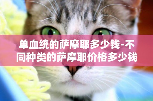 單血統的薩摩耶多少錢-不同種類的薩摩耶價格多少錢