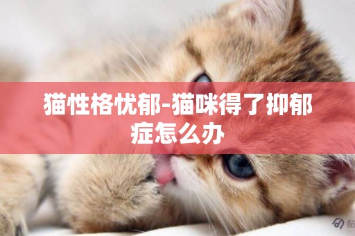 貓性格憂郁-貓咪得了抑郁癥怎么辦