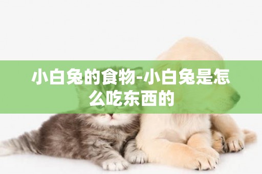 小白兔的食物-小白兔是怎么吃東西的