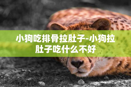 小狗吃排骨拉肚子-小狗拉肚子吃什么不好