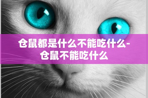 倉鼠都是什么不能吃什么-倉鼠不能吃什么