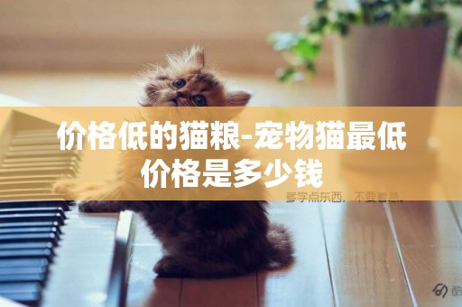 價格低的貓糧-寵物貓最低價格是多少錢