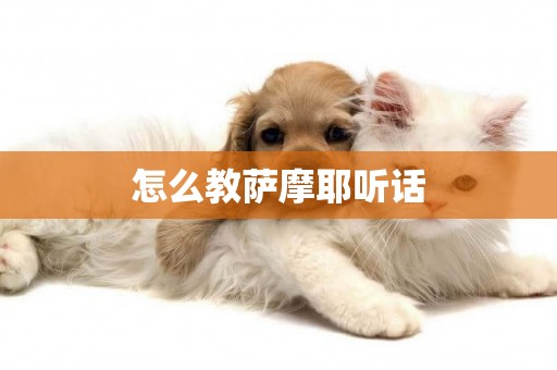 怎么教薩摩耶聽話