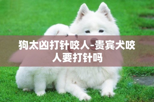 狗太兇打針咬人-貴賓犬咬人要打針嗎