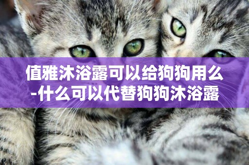 值雅沐浴露可以給狗狗用么-什么可以代替狗狗沐浴露