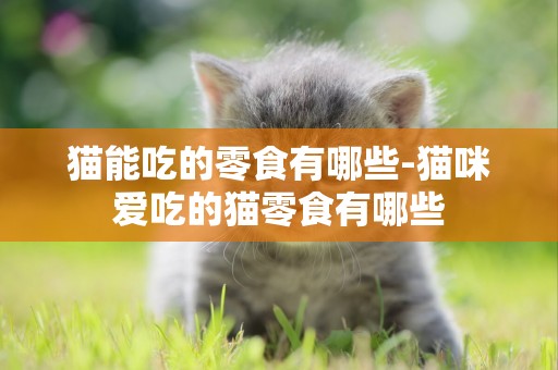 貓能吃的零食有哪些-貓咪愛吃的貓零食有哪些