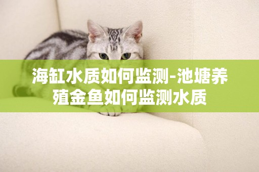 海缸水質如何監測-池塘養殖金魚如何監測水質