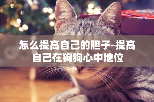怎么提高自己的膽子-提高自己在狗狗心中地位