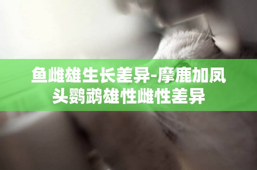 魚雌雄生長差異-摩鹿加鳳頭鸚鵡雄性雌性差異