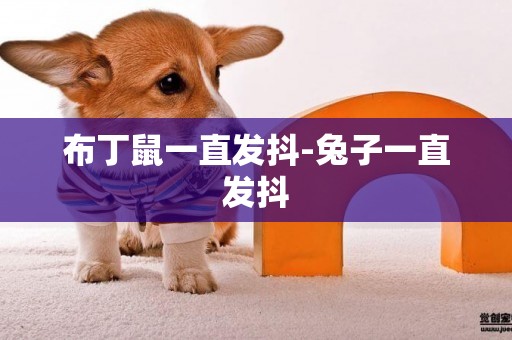 布丁鼠一直發抖-兔子一直發抖