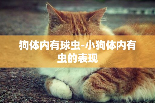 狗體內有球蟲-小狗體內有蟲的表現