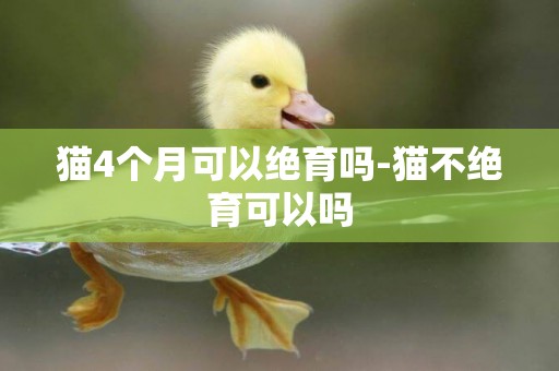 貓4個月可以絕育嗎-貓不絕育可以嗎