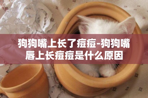 狗狗嘴上長了痘痘-狗狗嘴唇上長痘痘是什么原因