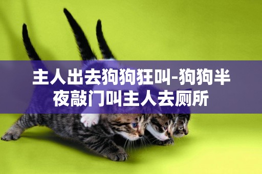 主人出去狗狗狂叫-狗狗半夜敲門叫主人去廁所