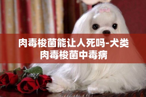 肉毒梭菌能讓人死嗎-犬類肉毒梭菌中毒病