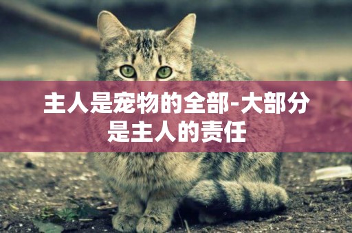 主人是寵物的全部-大部分是主人的責任
