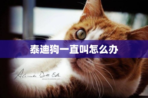 泰迪狗一直叫怎么辦