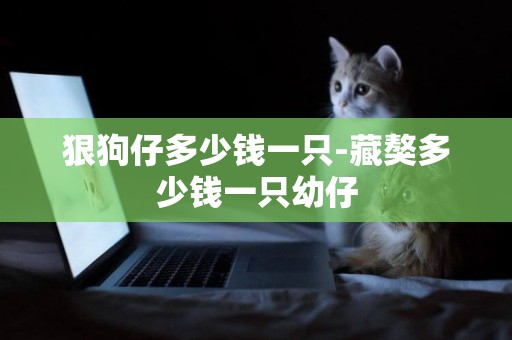 狠狗仔多少錢一只-藏獒多少錢一只幼仔