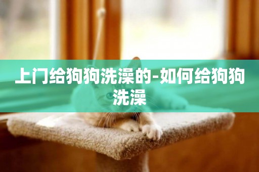 上門給狗狗洗澡的-如何給狗狗洗澡