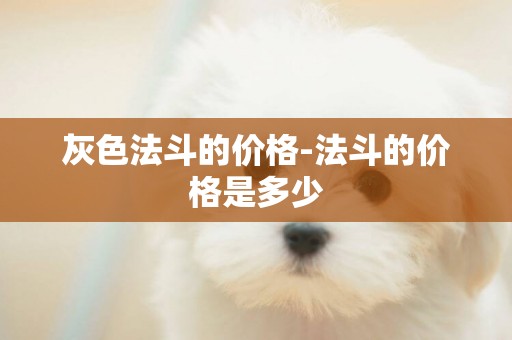 灰色法斗的價格-法斗的價格是多少