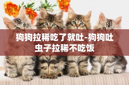 狗狗拉稀吃了就吐-狗狗吐蟲子拉稀不吃飯