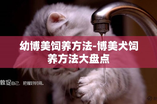 幼博美飼養方法-博美犬飼養方法大盤點