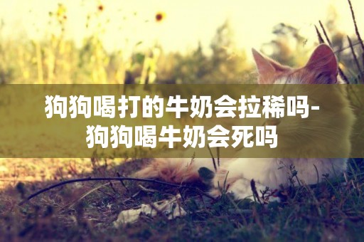 狗狗喝打的牛奶會拉稀嗎-狗狗喝牛奶會死嗎