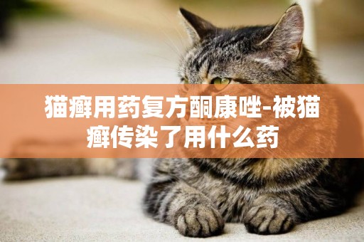 貓癬用藥復方酮康唑-被貓癬傳染了用什么藥