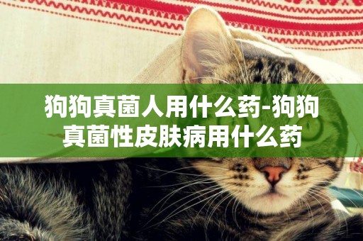 狗狗真菌人用什么藥-狗狗真菌性皮膚病用什么藥
