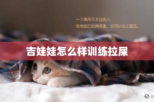 吉娃娃怎么樣訓練拉屎