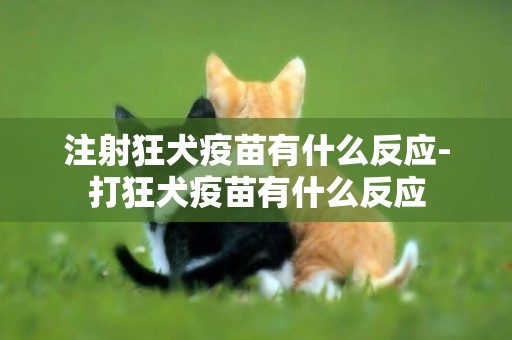注射狂犬疫苗有什么反應-打狂犬疫苗有什么反應