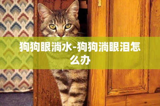 狗狗眼淌水-狗狗淌眼淚怎么辦