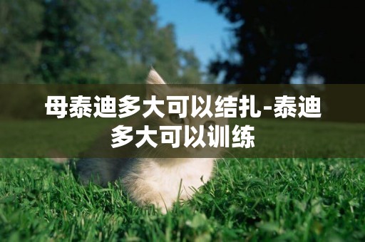 母泰迪多大可以結扎-泰迪多大可以訓練